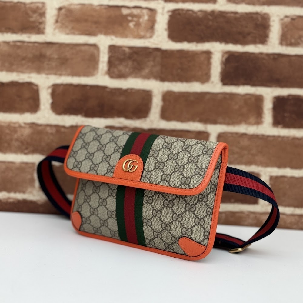 Ezyycart Bags Guccin Luxury Bag --94238