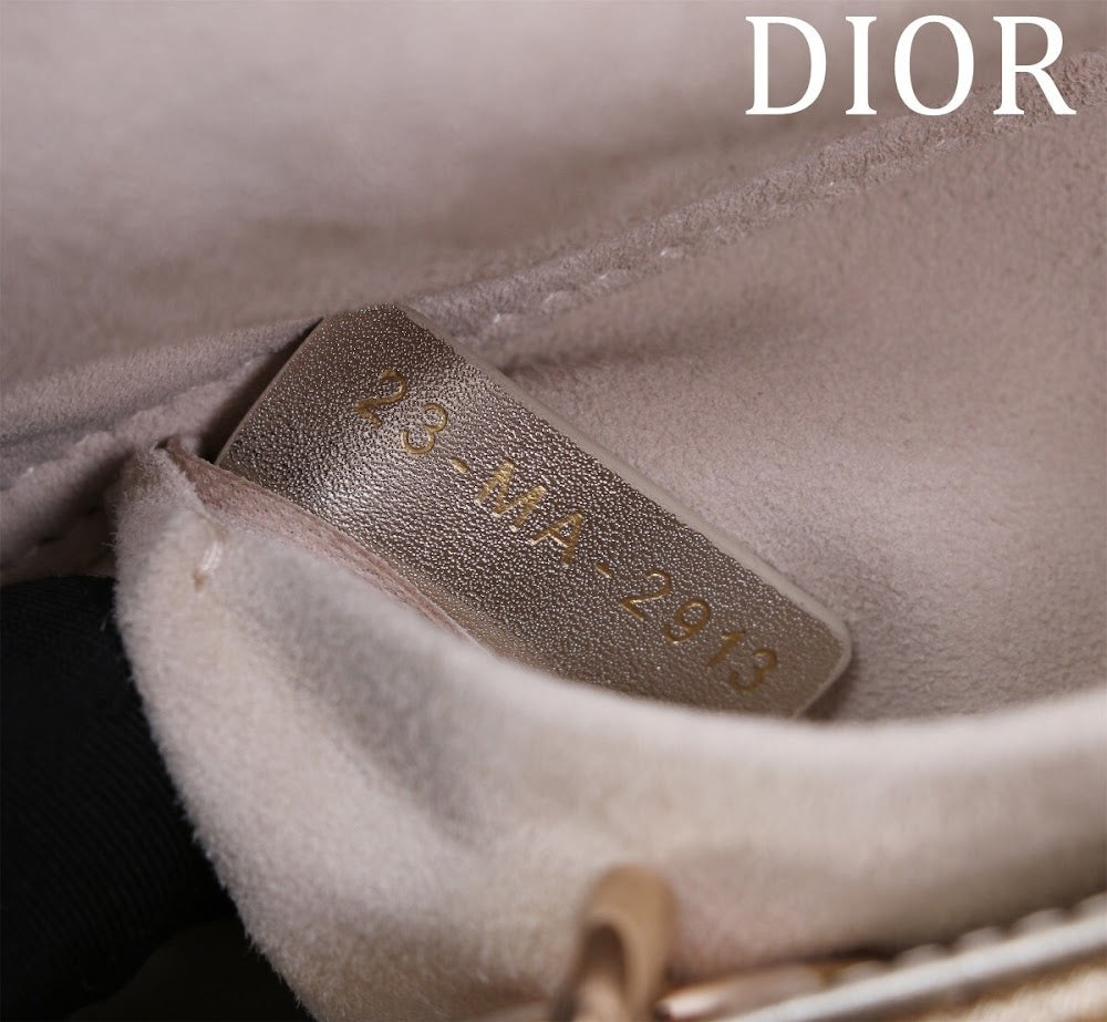 Anum Bags Diorn Luxury Bag --114860