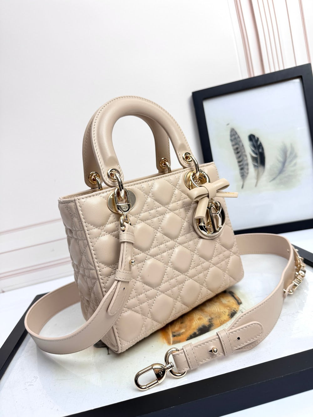 Anum Bags Diorn Luxury Bag --114949