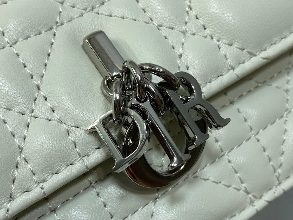 Ezyycart Bags Diorn Luxury Bag --115060