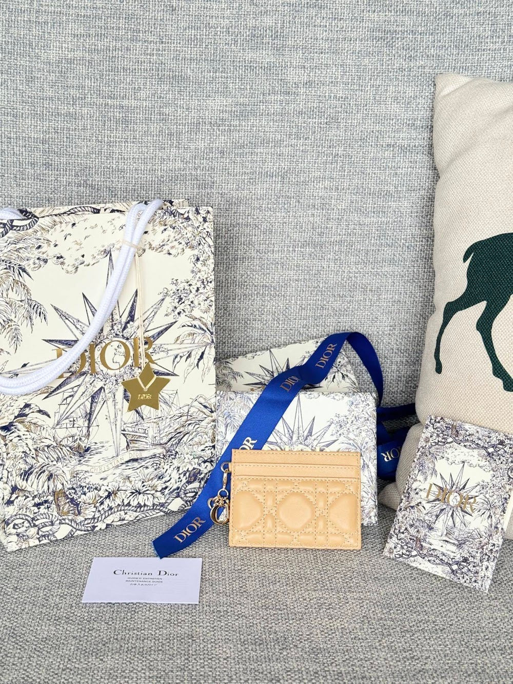 Anum Bags Diorn Luxury Bag --114683