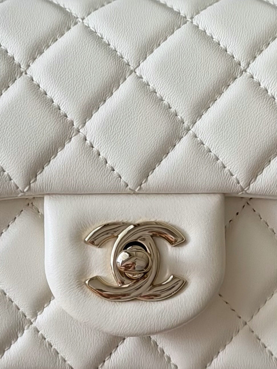 Anum Bags CHn Luxury Bag --114064