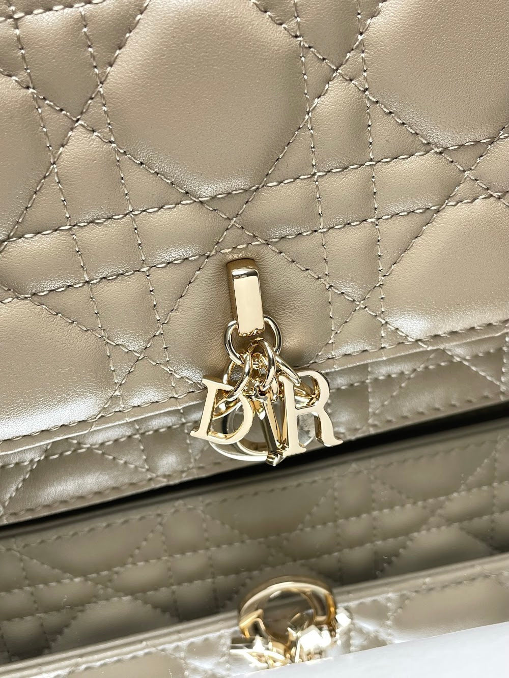 new-designer-premium-bags-nm15923