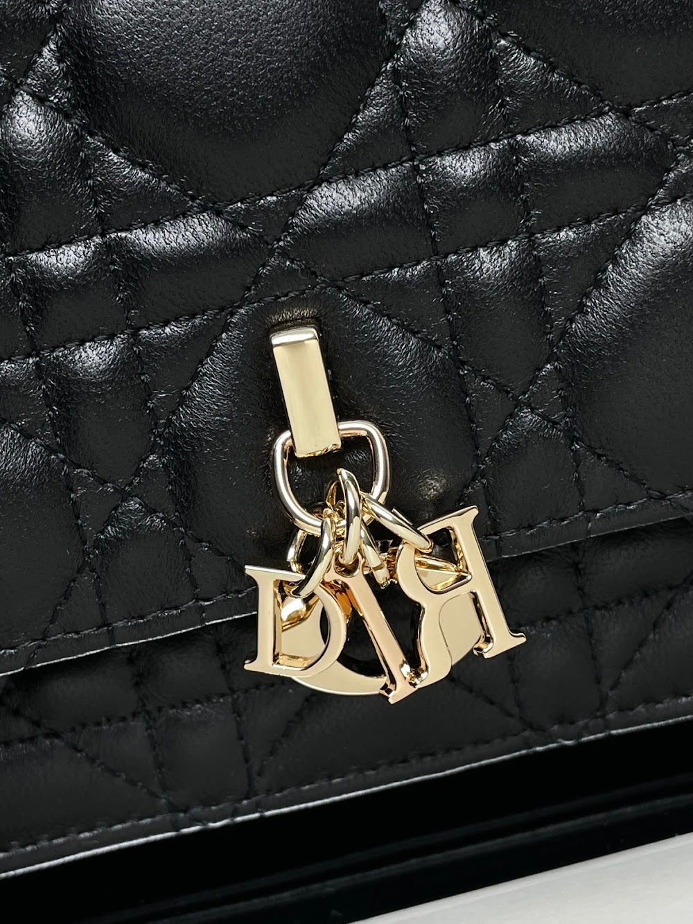 new-designer-premium-bags-nm15921
