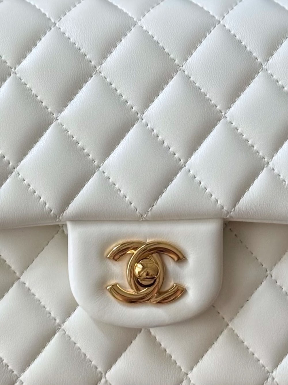 Anum Bags CHn Luxury Bag --112955