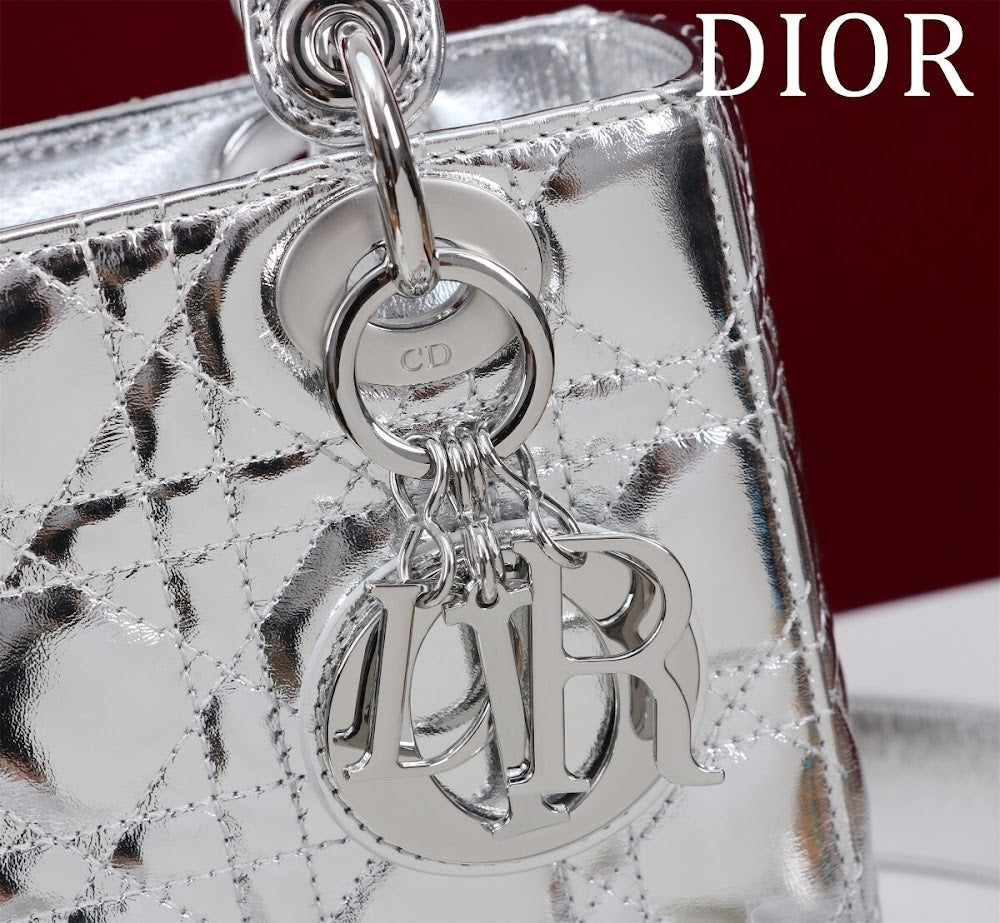 Ezyycart Bags Diorn Luxury Bag --115939