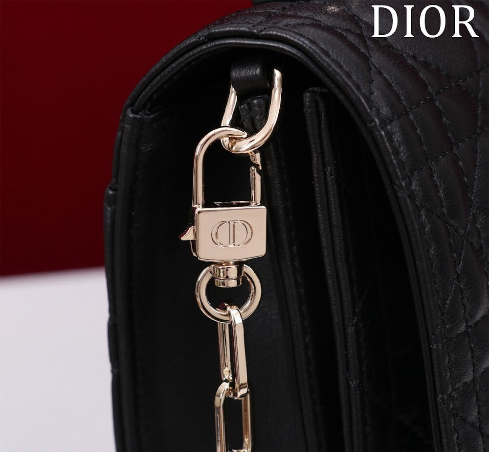 Ezyycart Bags Diorn Luxury Bag --116305