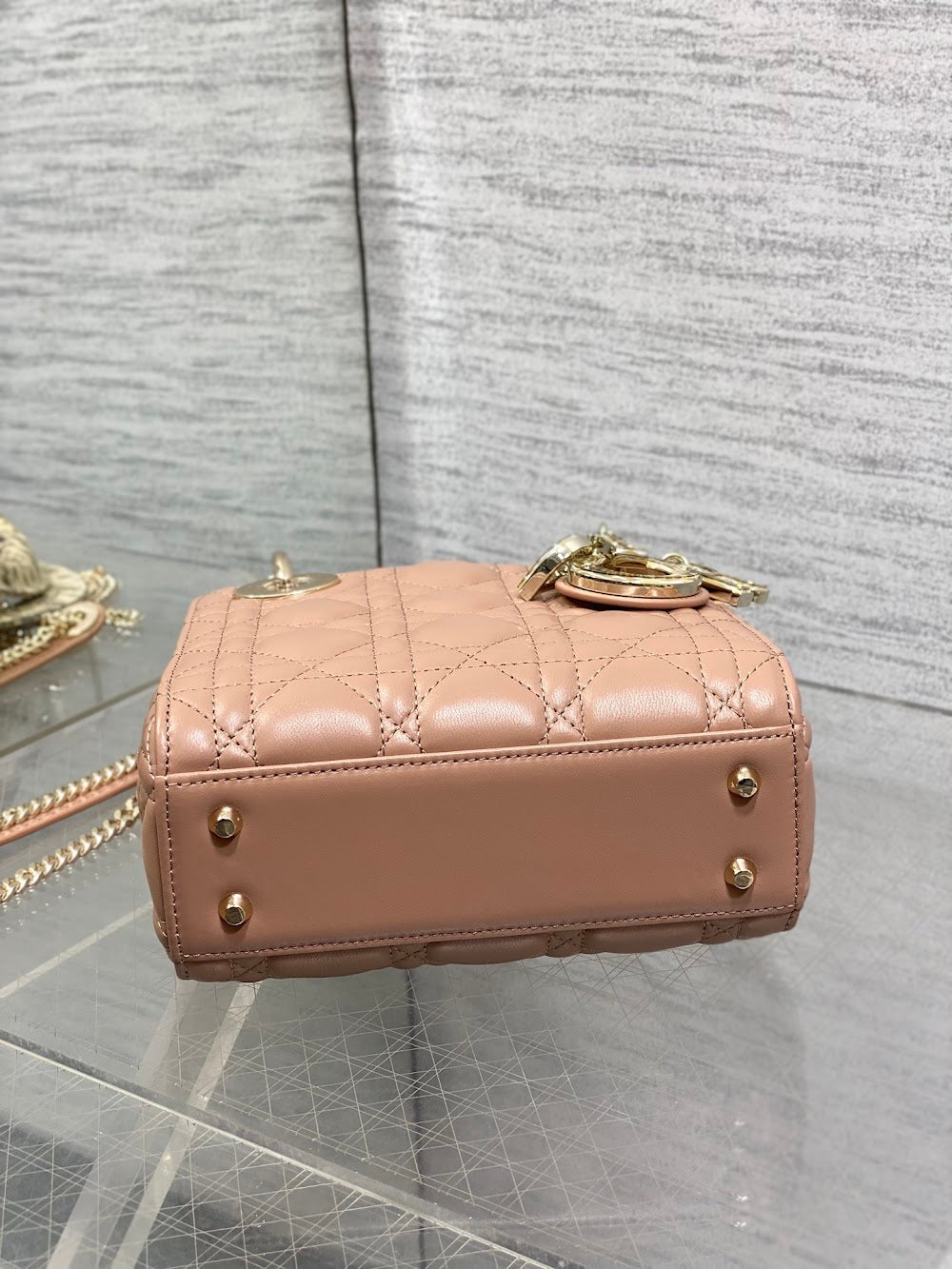 Ezyycart Bags Diorn Luxury Bag --115236