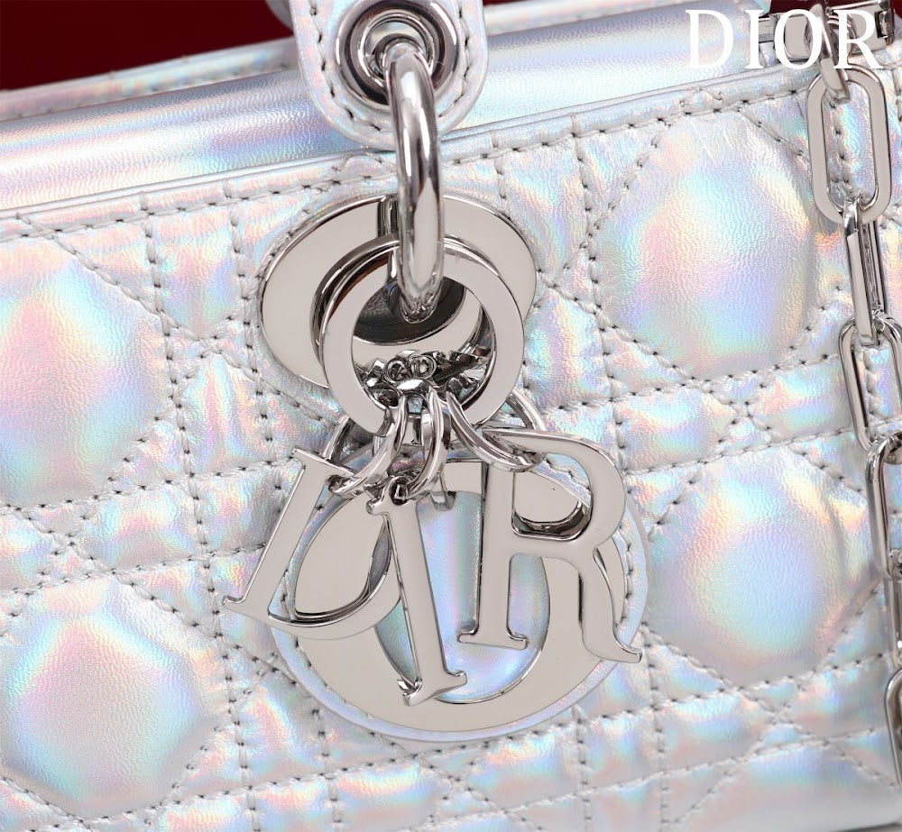 Anum Bags Diorn Luxury Bag --114772
