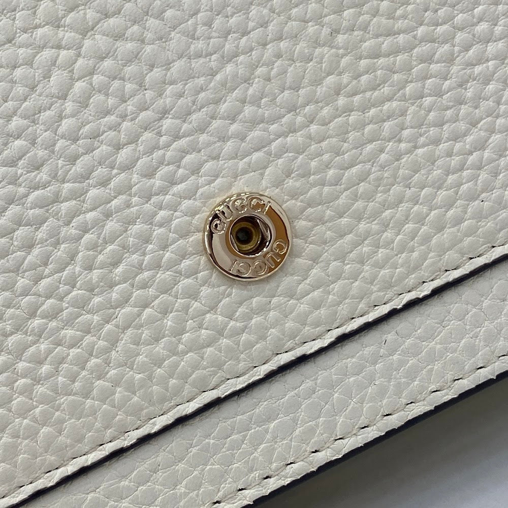Ezyycart Bags Guccin Luxury Bag --94619