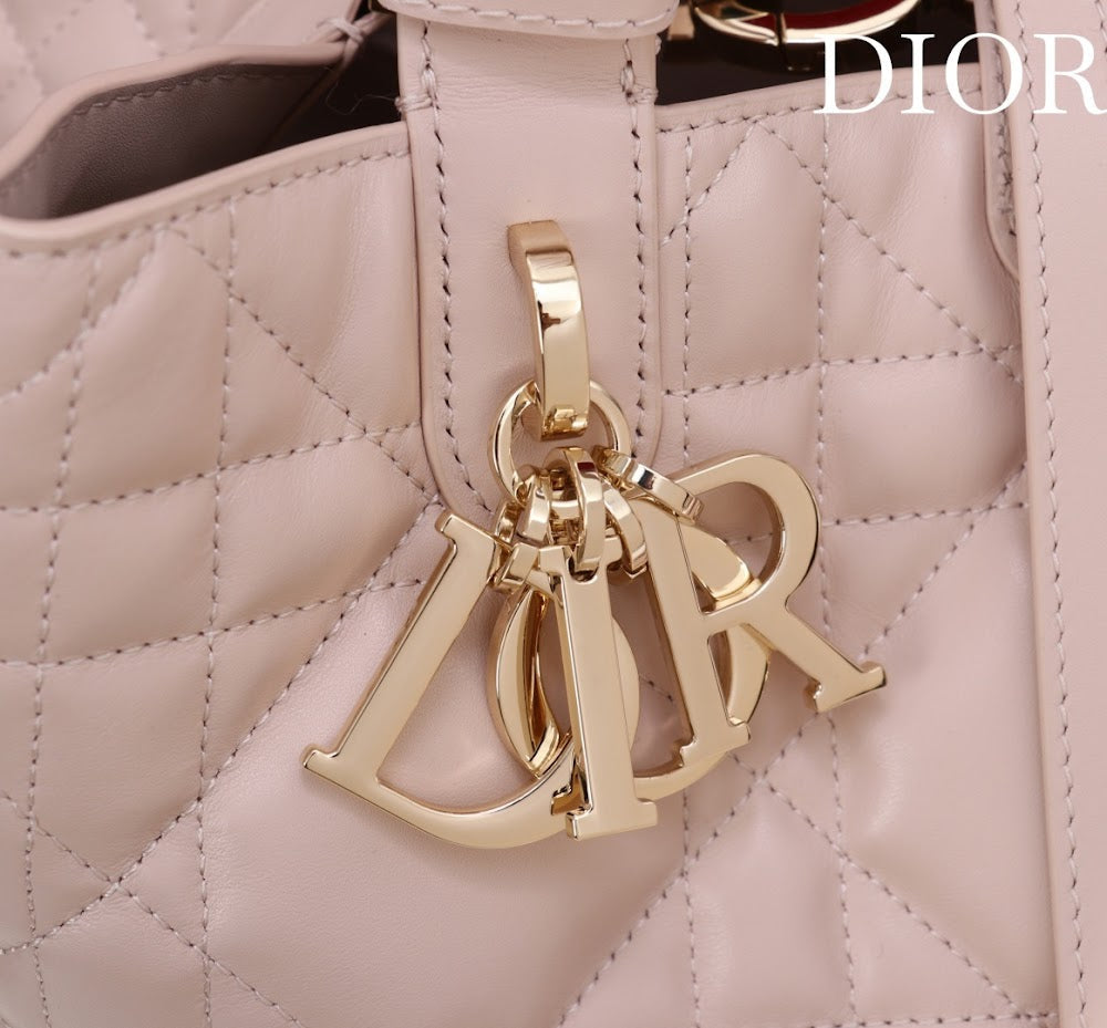 Ezyycart Bags Diorn Luxury Bag --115617