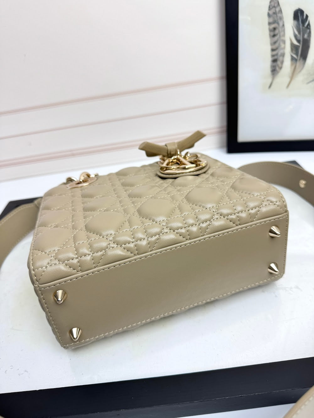 Anum Bags Diorn Luxury Bag --114946