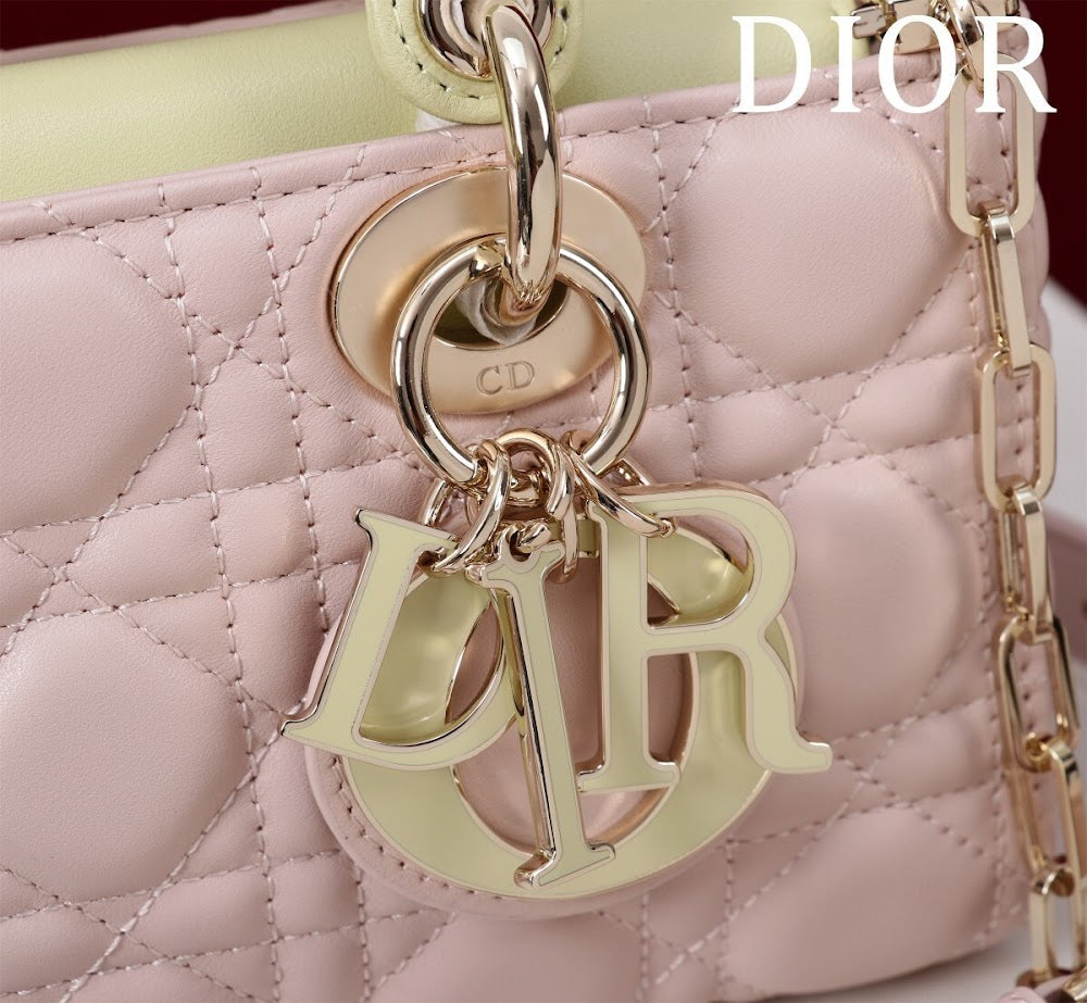 Anum Bags Diorn Luxury Bag --114853