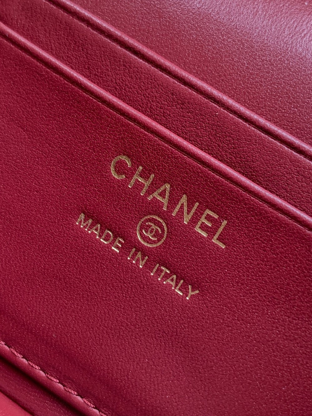 Anum Bags CHn Luxury Bag --112945
