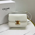 Ezyycart Bags Celine Luxury Bag --111982