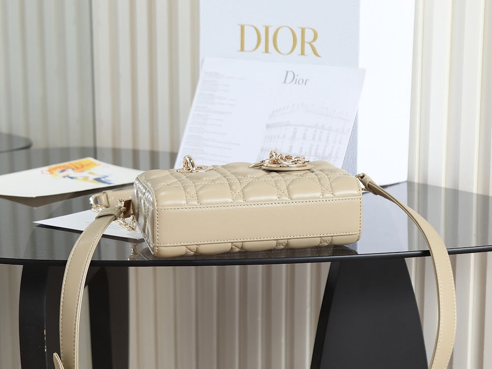 Anum Bags Diorn Luxury Bag --114839