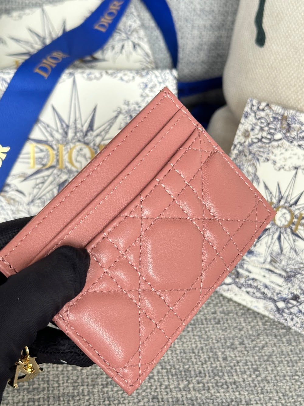 Anum Bags Diorn Luxury Bag --114682