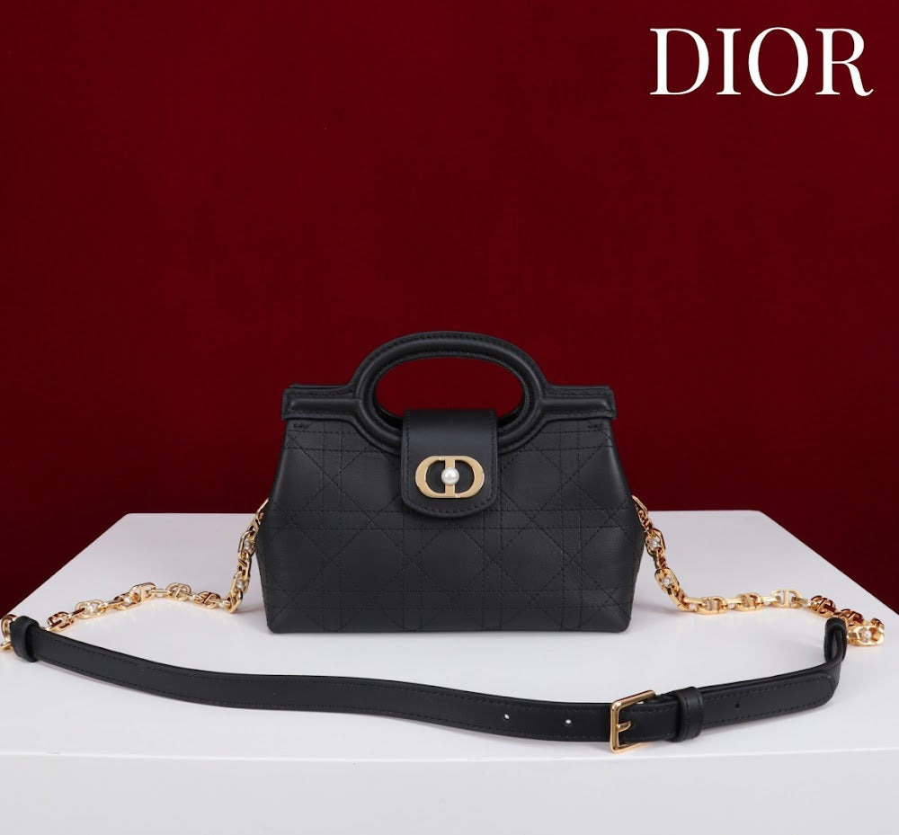 Anum Bags Diorn Luxury Bag --114445
