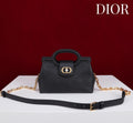 Anum Bags Diorn Luxury Bag --114445