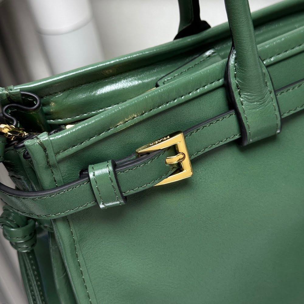 Ezyycart Bags Pradn Luxury Bag --102415
