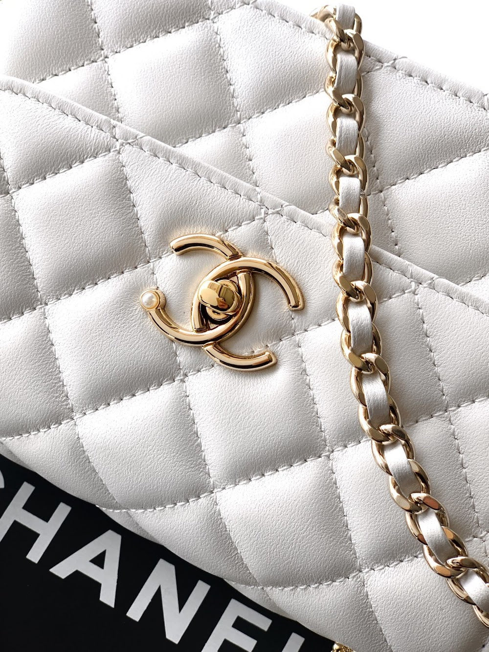 Anum Bags CHn Luxury Bag --113956
