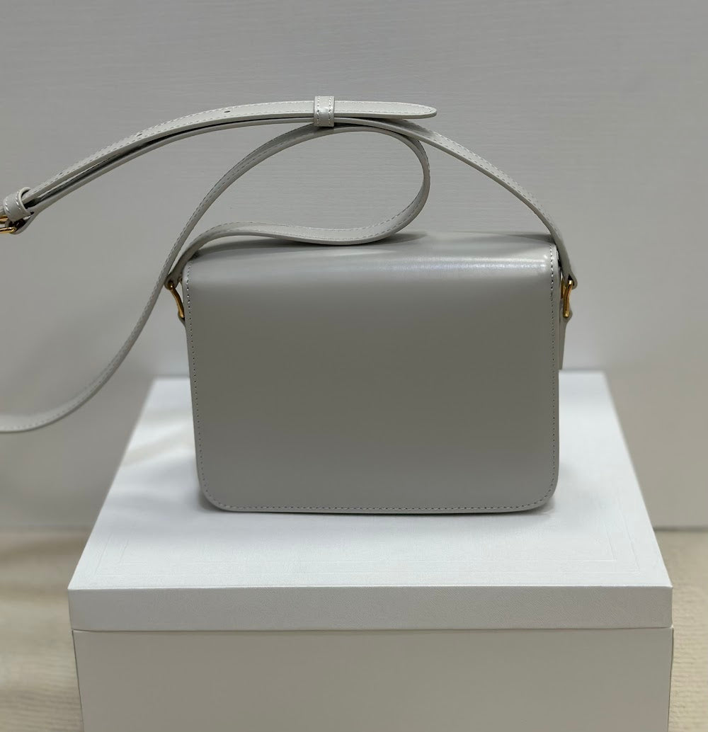 Ezyycart Bags Celine Luxury Bag --111998