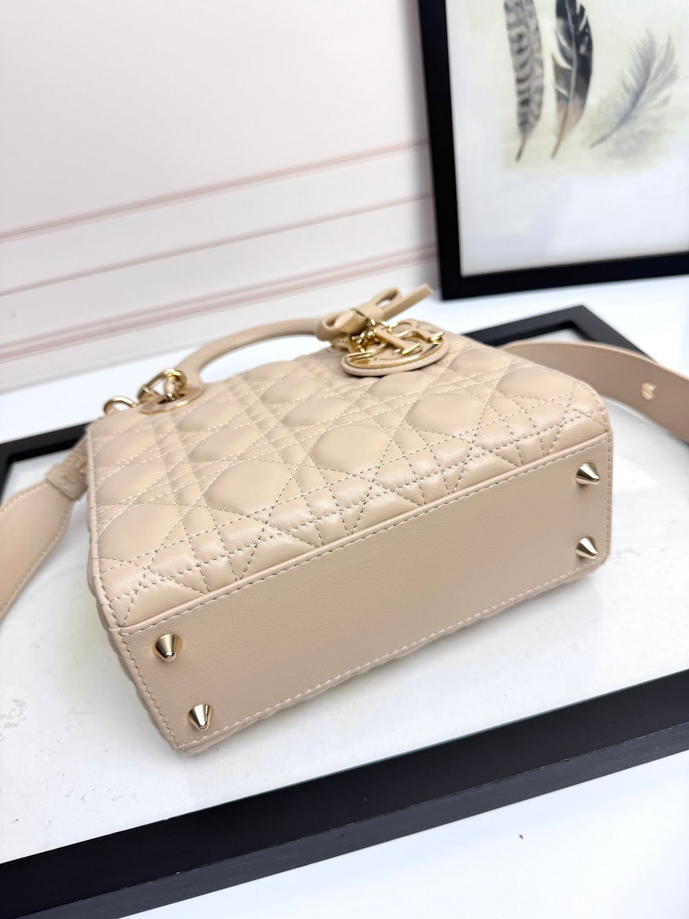 Anum Bags Diorn Luxury Bag --114949