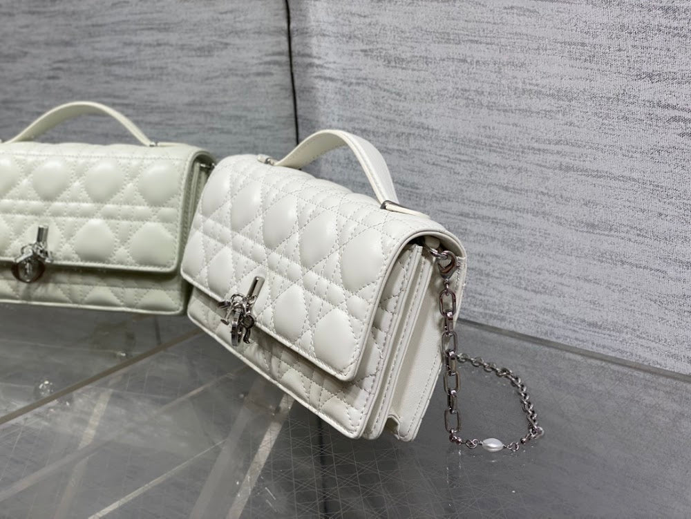 Ezyycart Bags Diorn Luxury Bag --115060