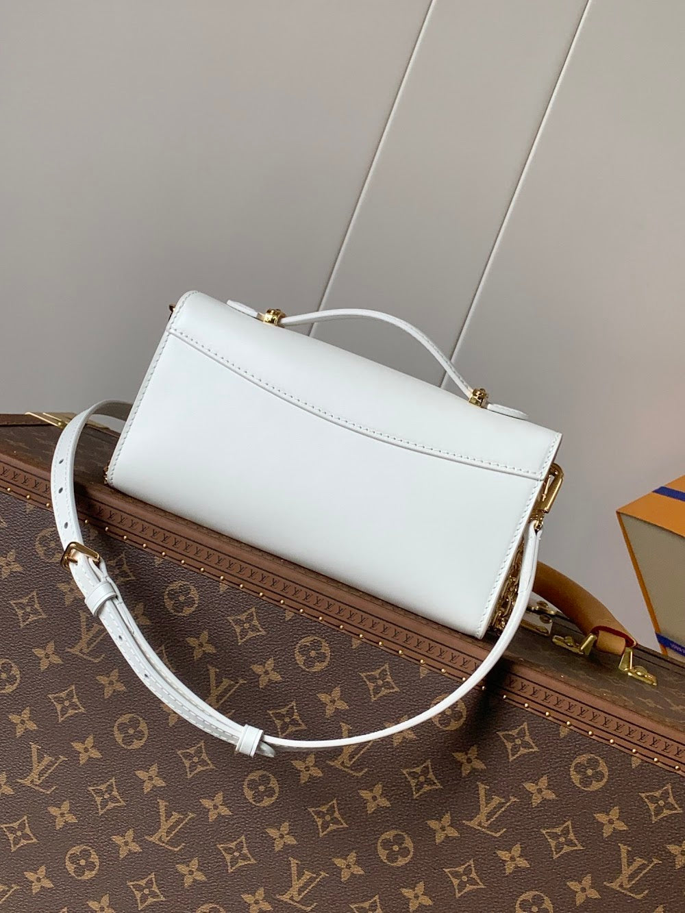 Anum Bags LVn Luxury Bag --81107