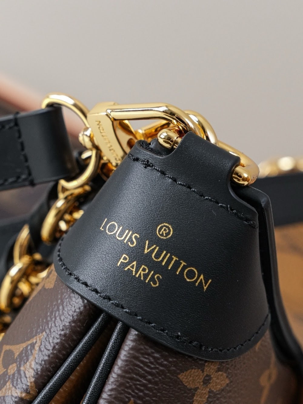 Anum Bags LVn Luxury Bag --80549