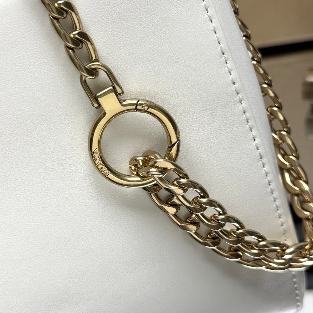 Ezyycart Bags Pradn Luxury Bag --102923