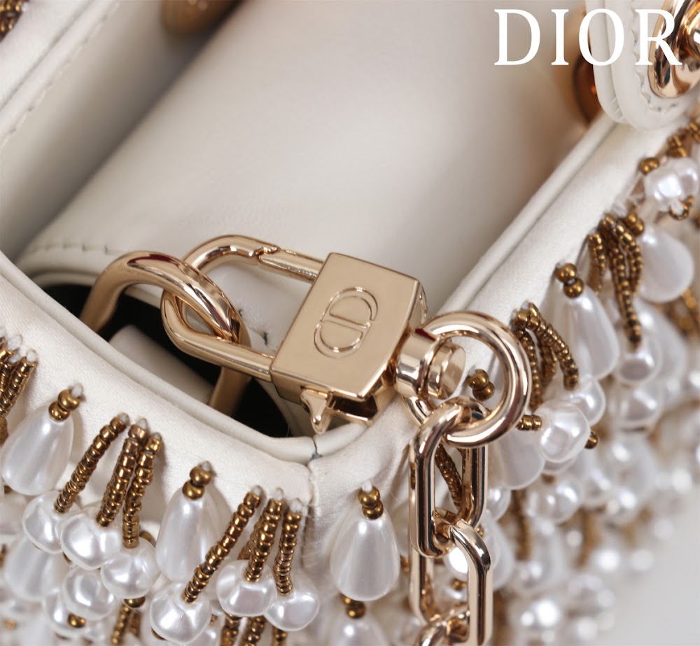 Anum Bags Diorn Luxury Bag --114711