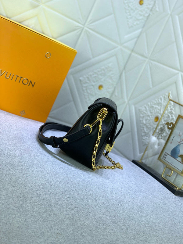 Anum Bags LVn Luxury Bag --80564