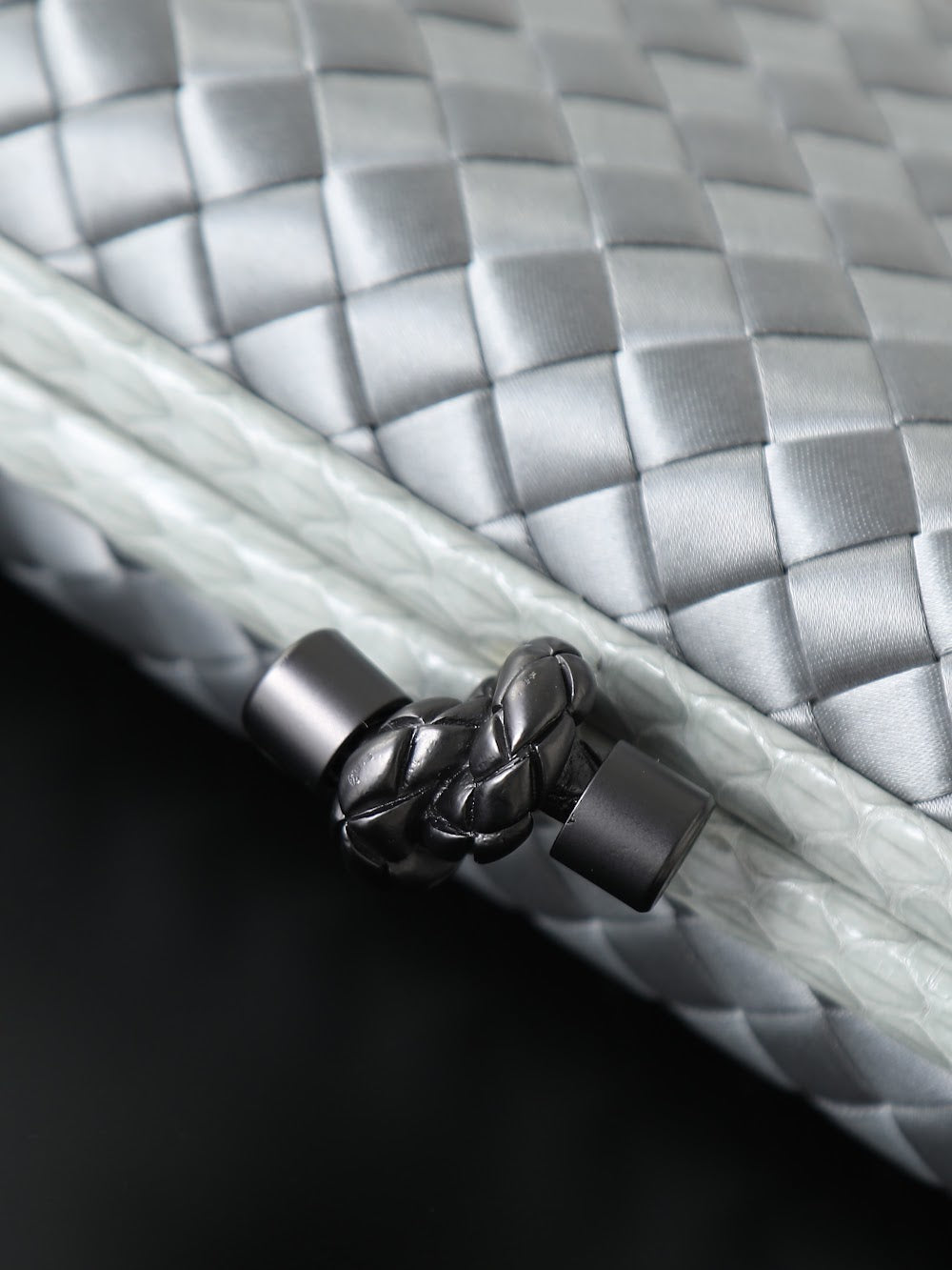 Ezyycart Bags Bottegan Luxury Bag --91117