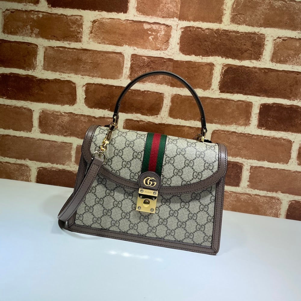 Ezyycart Bags Guccin Luxury Bag --95456