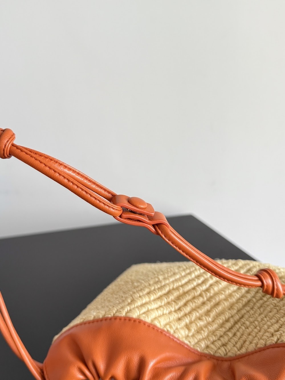 Ezyycart Bags Bottegan Luxury Bag --91472