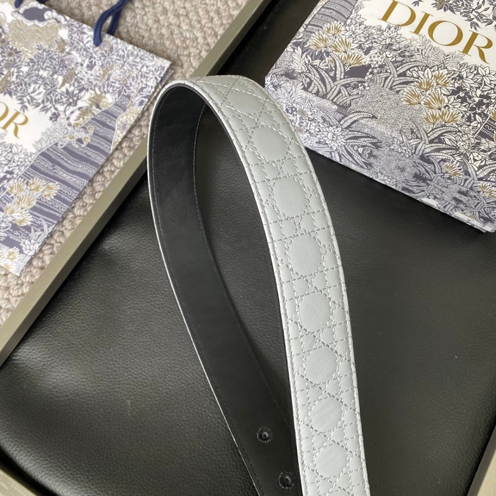 Anum Bags Diorn Luxury Belt --107713