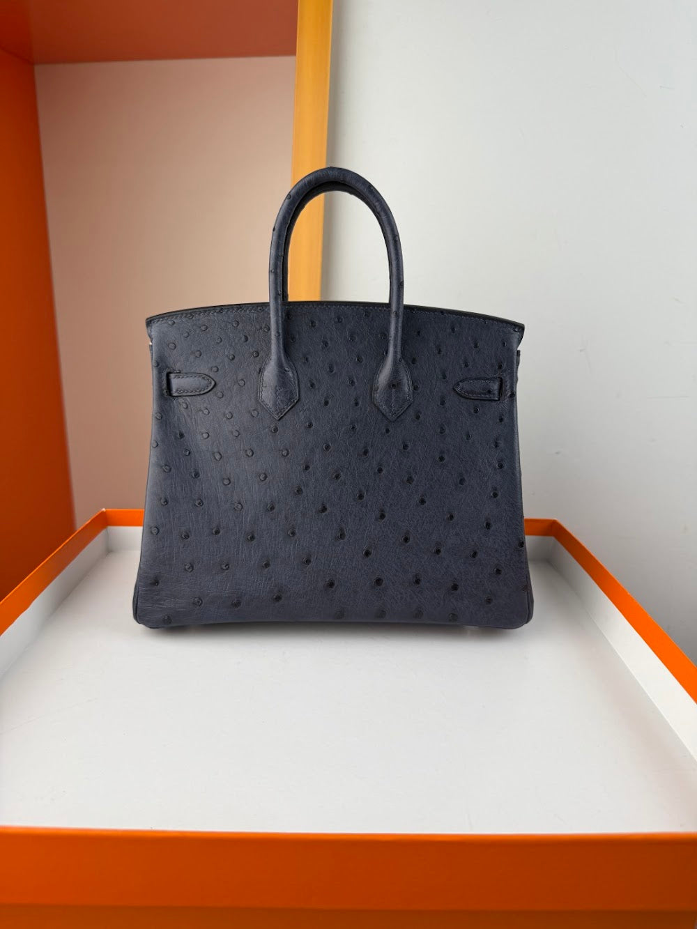 Anum Bags Hermesn Luxury Bag --116750