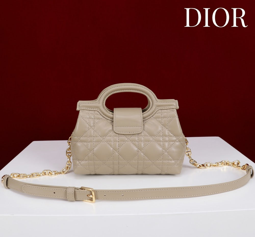 Anum Bags Diorn Luxury Bag --114562