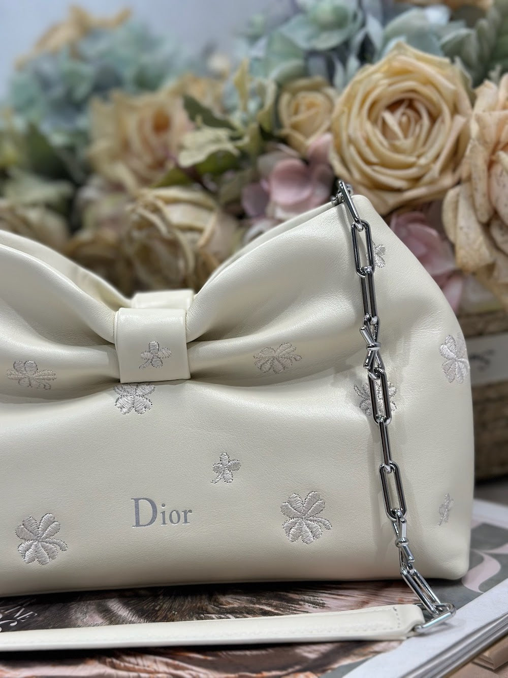 Ezyycart Bags Diorn Luxury Bag --115480