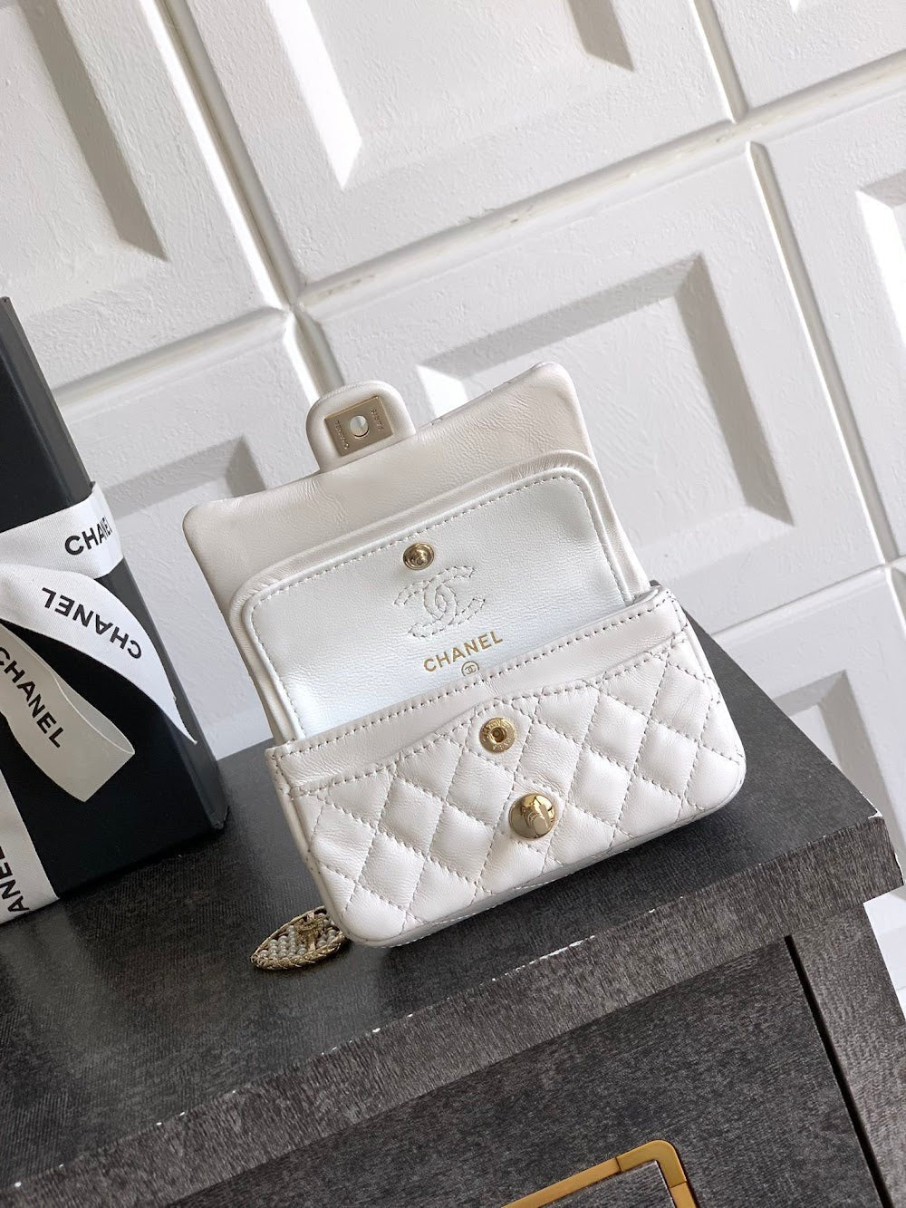 Anum Bags CHn Luxury Bag --112666