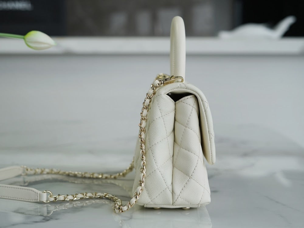 new-luxury-designer-bags-nm10015