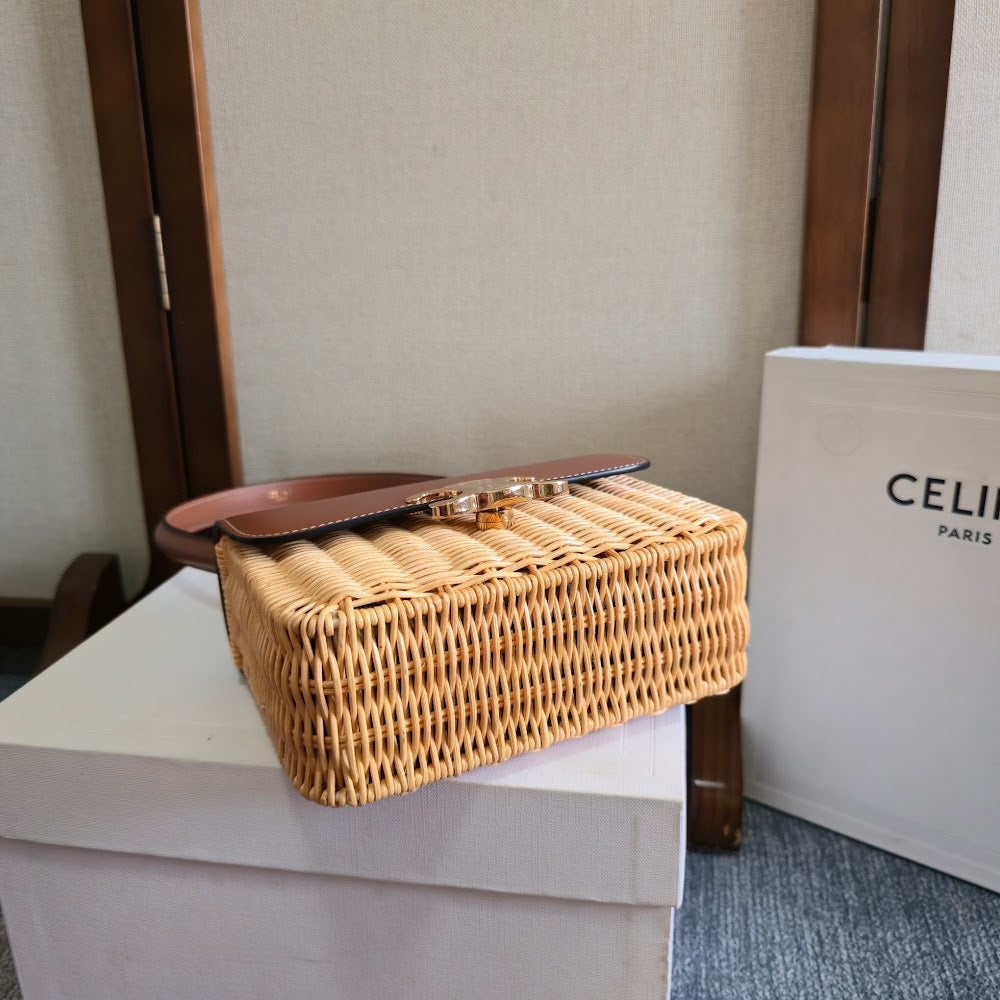 Ezyycart Bags Celine Luxury Bag --112243
