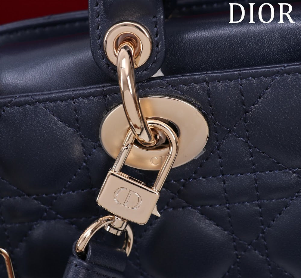 Anum Bags Diorn Luxury Bag --114763