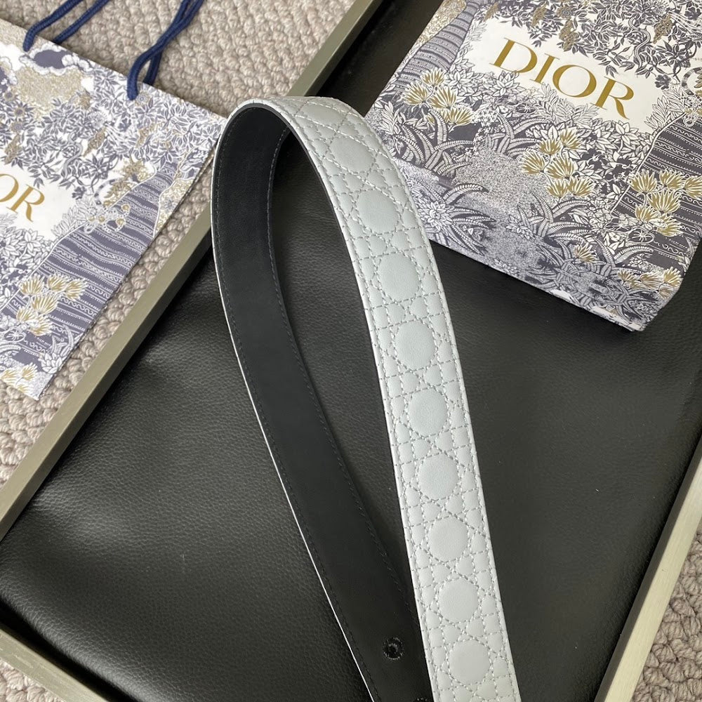 Anum Bags Diorn Luxury Belt --104860