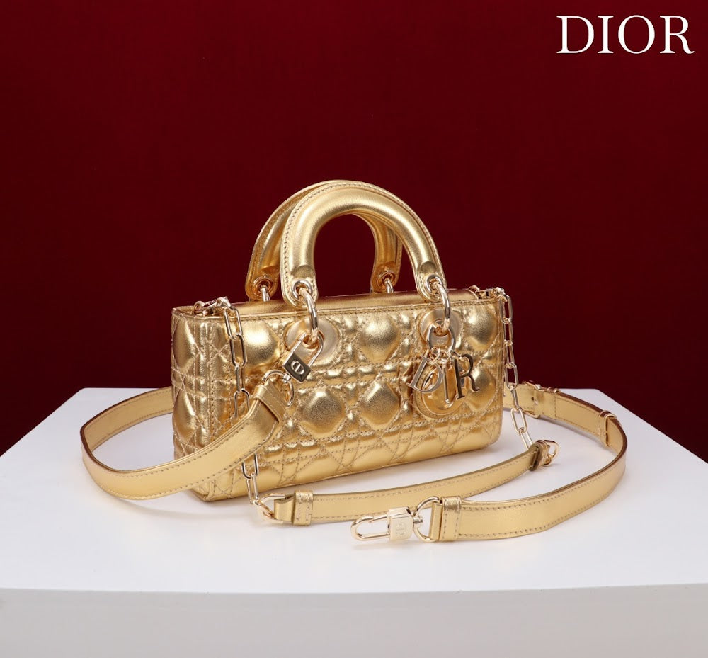 Anum Bags Diorn Luxury Bag --114717