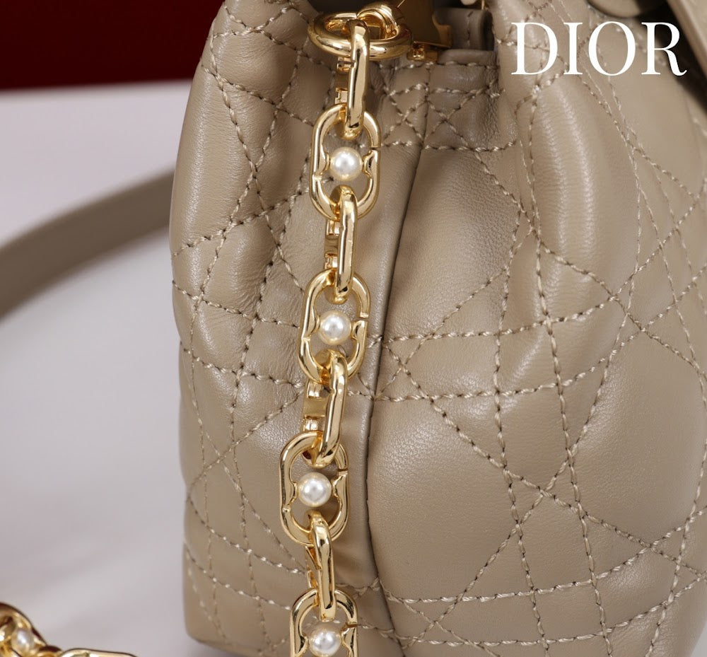 Anum Bags Diorn Luxury Bag --114562