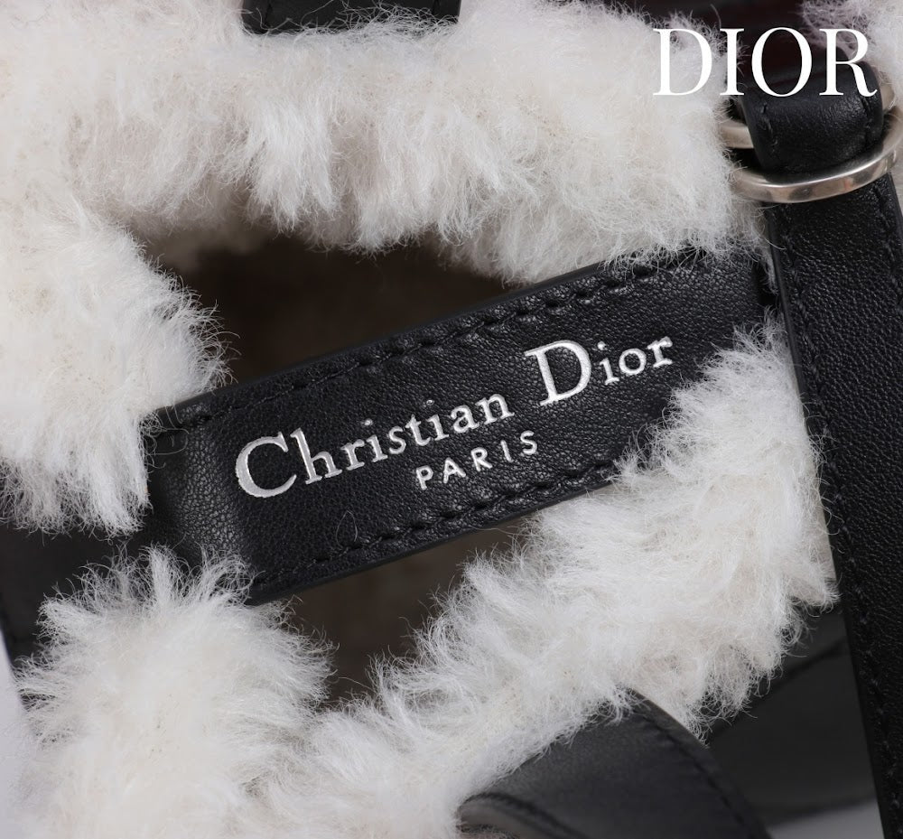Anum Bags Diorn Luxury Bag --114886