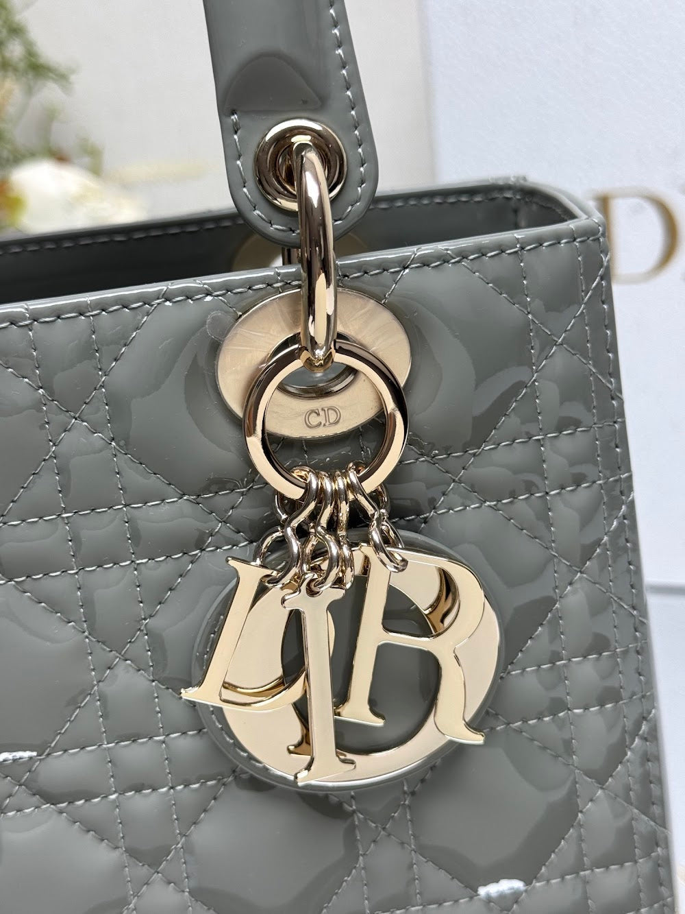 Ezyycart Bags Diorn Luxury Bag --116024