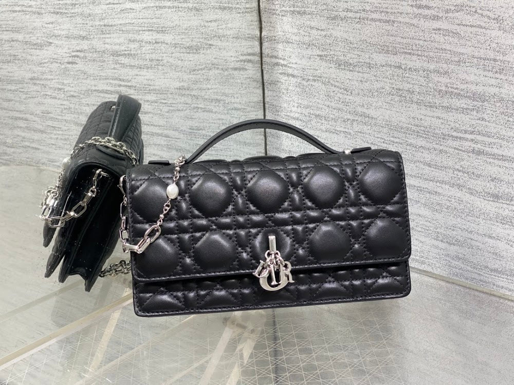 Ezyycart Bags Diorn Luxury Bag --115061